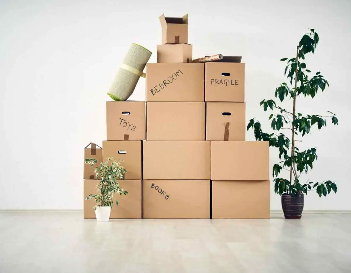 packers and movers